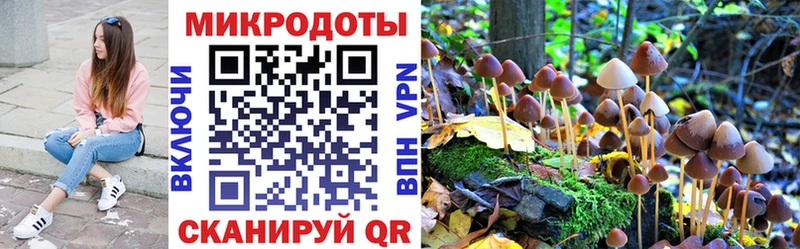 купить Белая Холуница Галлюциногенные грибы GOLDEN TEACHER
